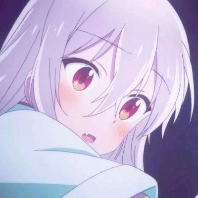 宠物馆17条狗死亡